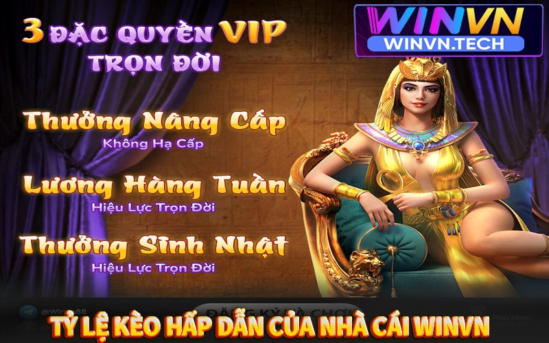 Top 4 tỷ lệ kèo cá cược hấp dẫn nhất nhà cái winvn