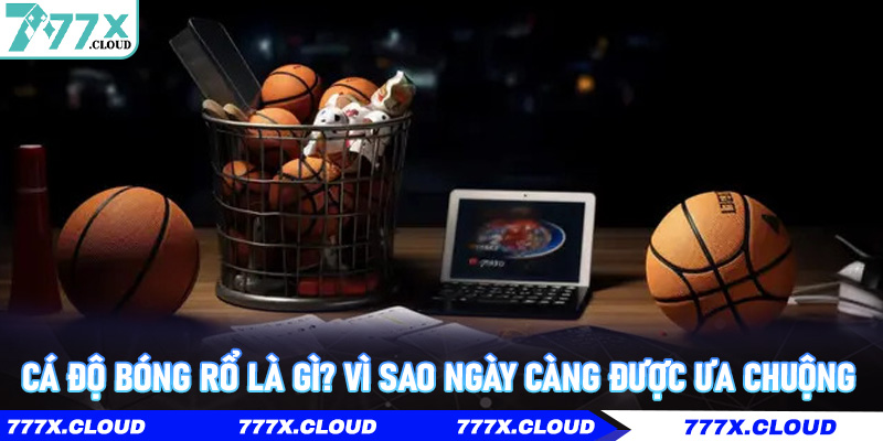 Cá Độ Bóng Rổ là gì? Vì sao ngày càng được ưa chuộng