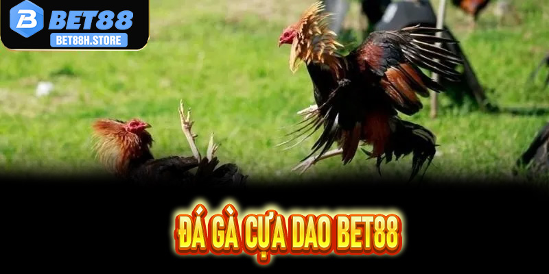 Đá Gà Cựa Dao Bet88